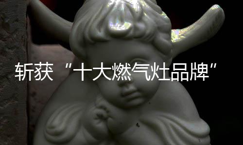 品牌凭借精湛品质之作