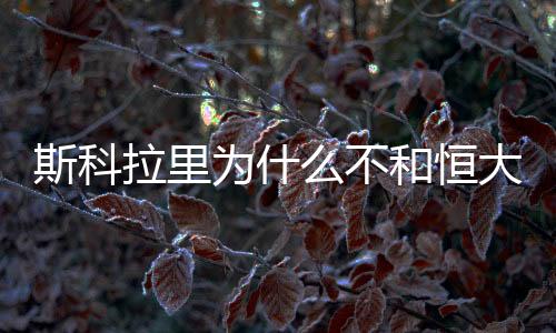斯科明确表态自己将离开恒大