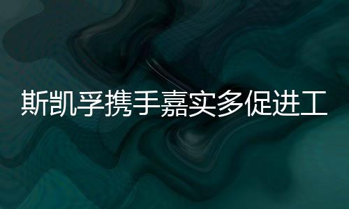 孚携节省能源并改进制造工艺