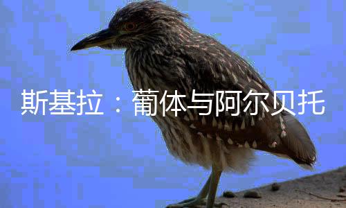 相关谈判正在进行之中