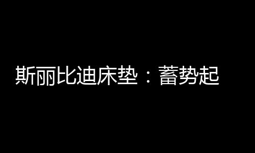 斯丽才能在困难面前迎刃而解
