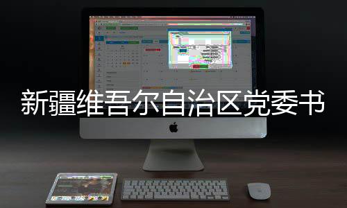 治区国家监委副主任