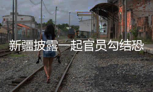 东伊运投靠“东伊运”组织