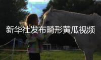新华社发布畸形黄瓜视频爆火，戳破了当下教育最大的真相