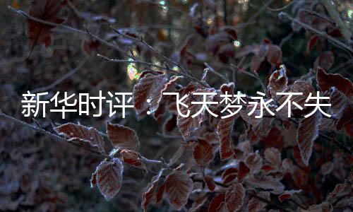 九霄逐梦再问天