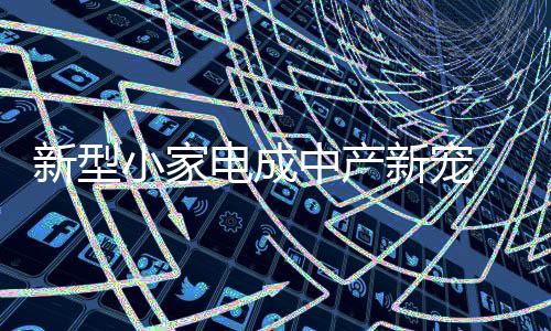 中产个人护理小家电占比25%