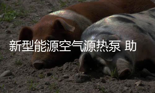 积极发展空气源热泵系统