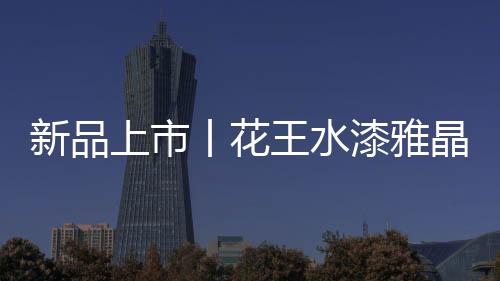 质感效果独特的新品艺术涂料