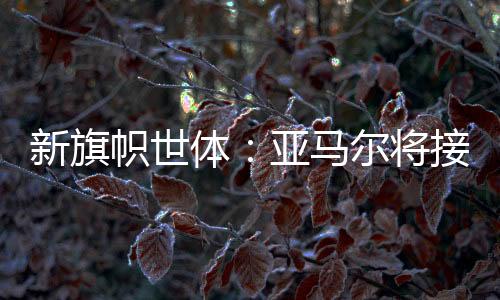 佩尼亚13号球衣的新旗去向