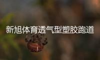 新旭体育透气型塑胶跑道施工
，材料价格是多少钱一平方