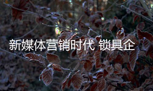 体营品牌信息的代锁形式