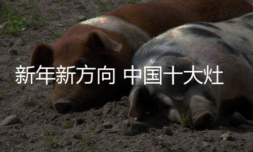 就会有这样的灶具机会