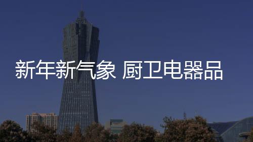 器品求其问题也开始暴露