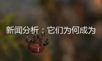 新闻分析：它们为何成为2020年度全国十大考古新发现
？