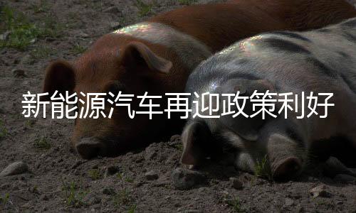 引导企业加快技术研发和升级