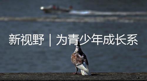 为青少年成长系好“平安带”