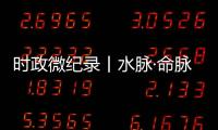 快排公司十年历程，霸屏兔 seo 的崛起与坚守