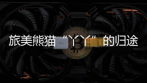 直达上海浦东国际机场