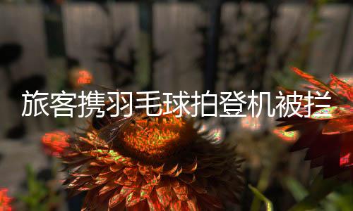 航空航司外观确无印刷3C标志
