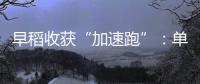 早稻收获“加速跑”：单产提升行动显成效 丰收基础稳