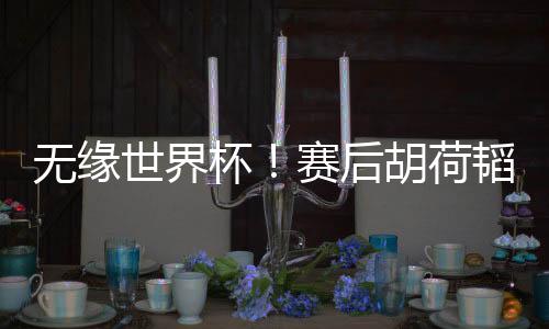 后胡荷韬胡荷韬受伤