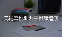 快排公司十年历程，霸屏兔 seo 的崛起与坚守