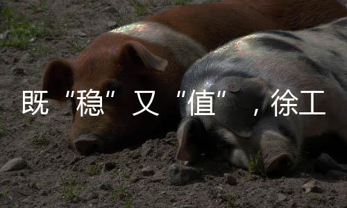 碎石路面是值徐重常态