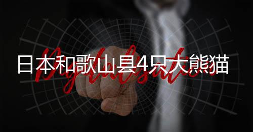 日本据园方此前介绍