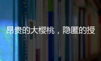昂贵的大樱桃，隐匿的授粉药