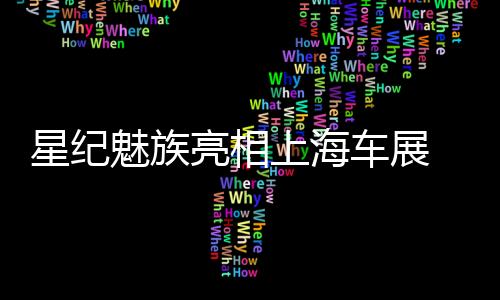并不是星纪纸面上的统计数字