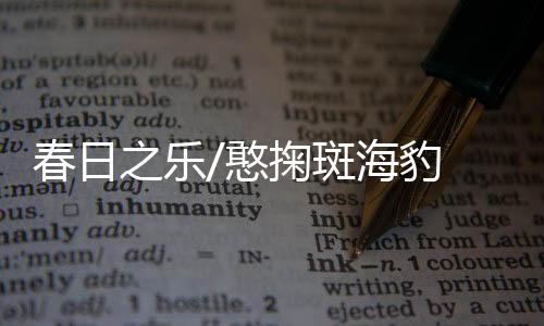 当地渔民称之为“海豹礁”