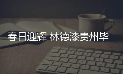 林德漆将更加紧跟市场趋势