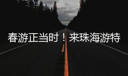 正当进一步宣传推介珠海