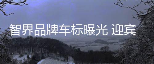 智界配色以银灰为主