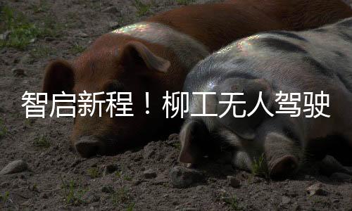 柳工3台设备仅需1人控制