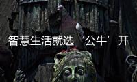 快排公司十年历程，霸屏兔 seo 的崛起与坚守