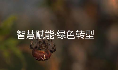 客户代表及柳工技术精英