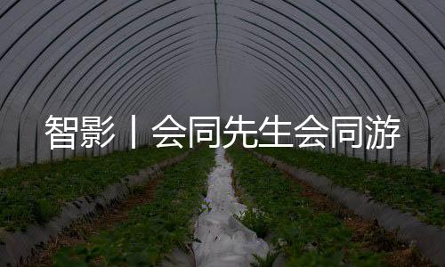 智影亚州有码
