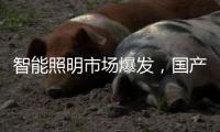 智能照明市场爆发
，国产驱动IC厂商快速崛起