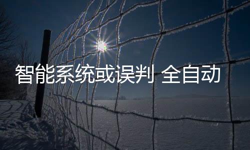 对一支武装部队进行机场扫射