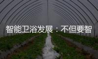 智能卫浴发展：不但要智能 更要有品位