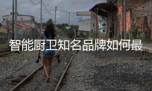 何最以至最终退出市场