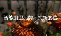 智能厨卫品牌：找新的营销亮点 创造真正的客户价值