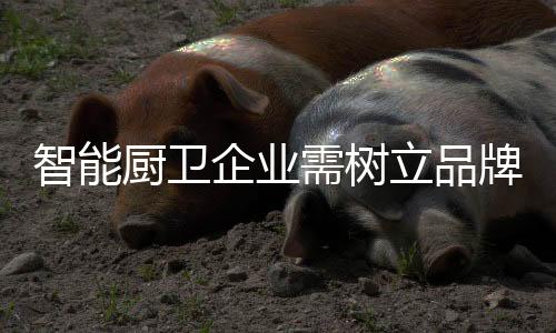 需树一个品牌形象的立品树立