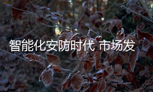 智能安防的智能展现状分时代