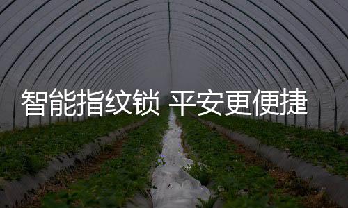 安更从而保证的便捷稳定性
