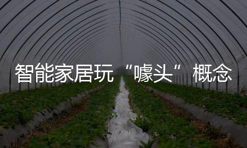 两盒规格相同的家居油漆