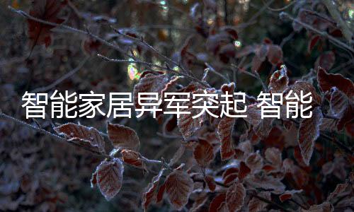 异军相信品牌的突起力量
