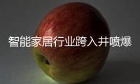 智能家居行业跨入井喷爆发期�，TCL智能门锁抢夺先机