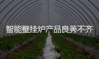 智能壁挂炉产品良莠不齐 需行业标准来规范